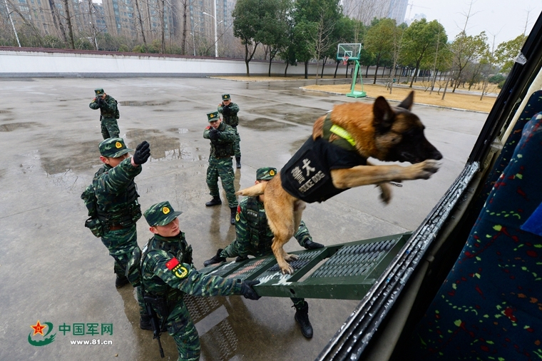 “鳝鱼”能不能经常吃？对身体有啥好处？中医：3种人需要管住嘴 